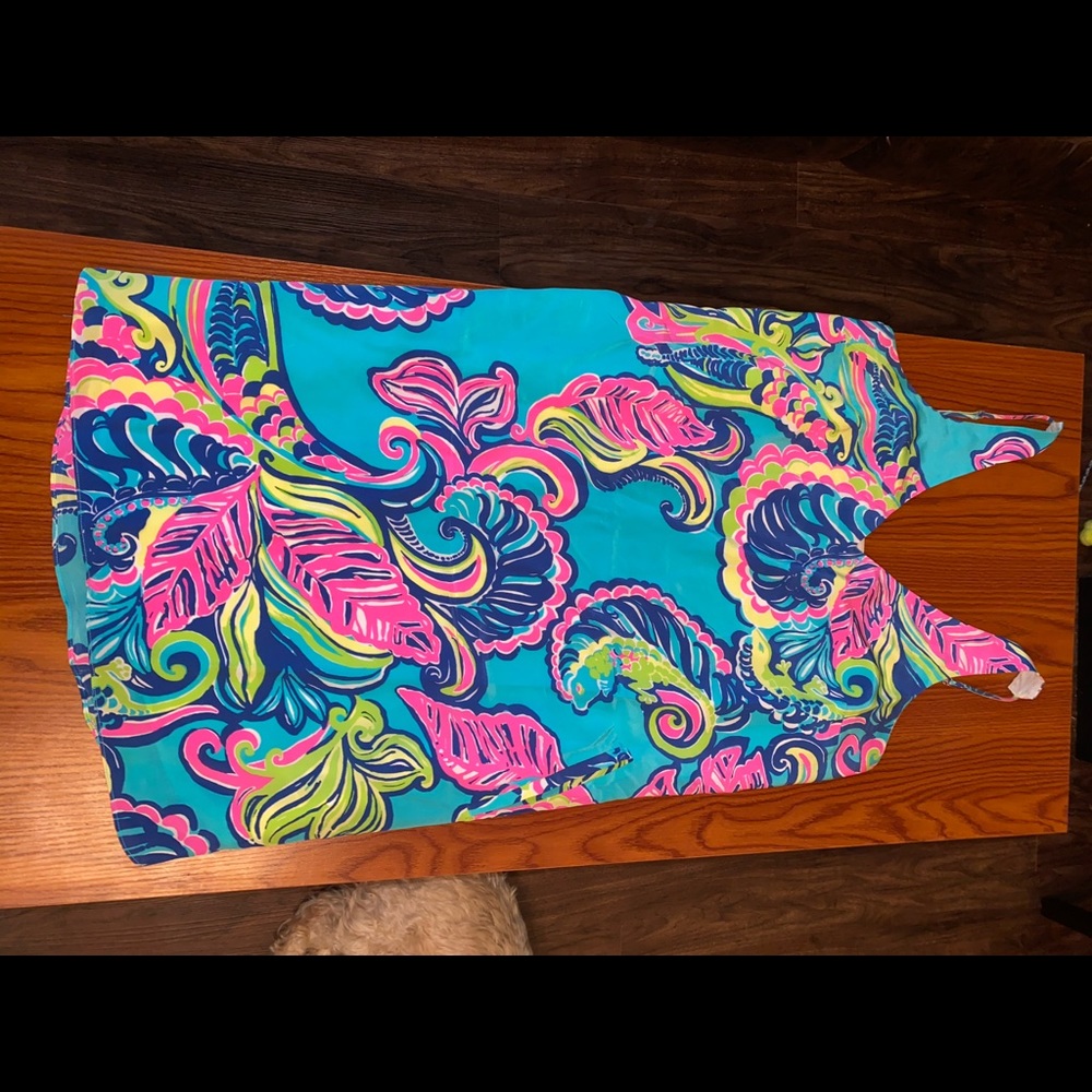 Lilly pulitzer dress